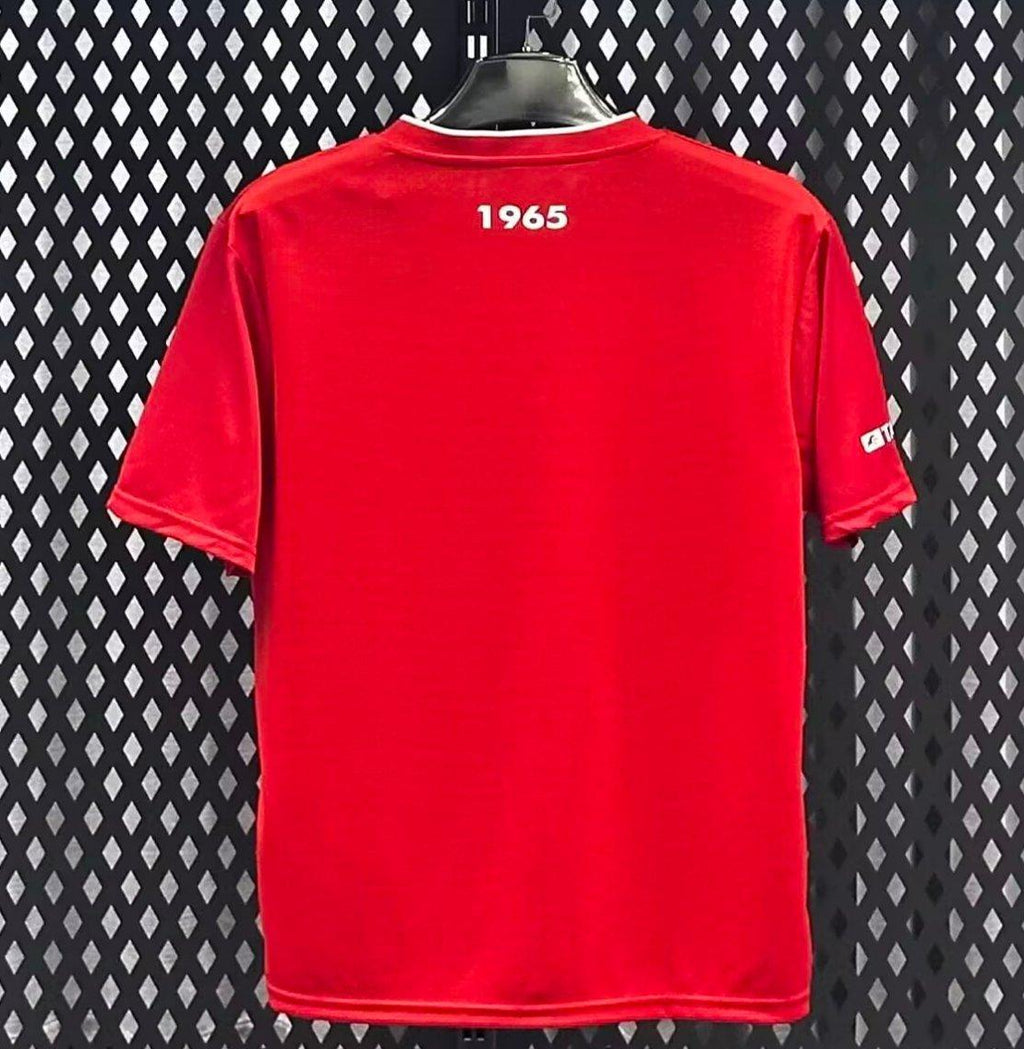 Twente 2025/26 Home - Fan Version