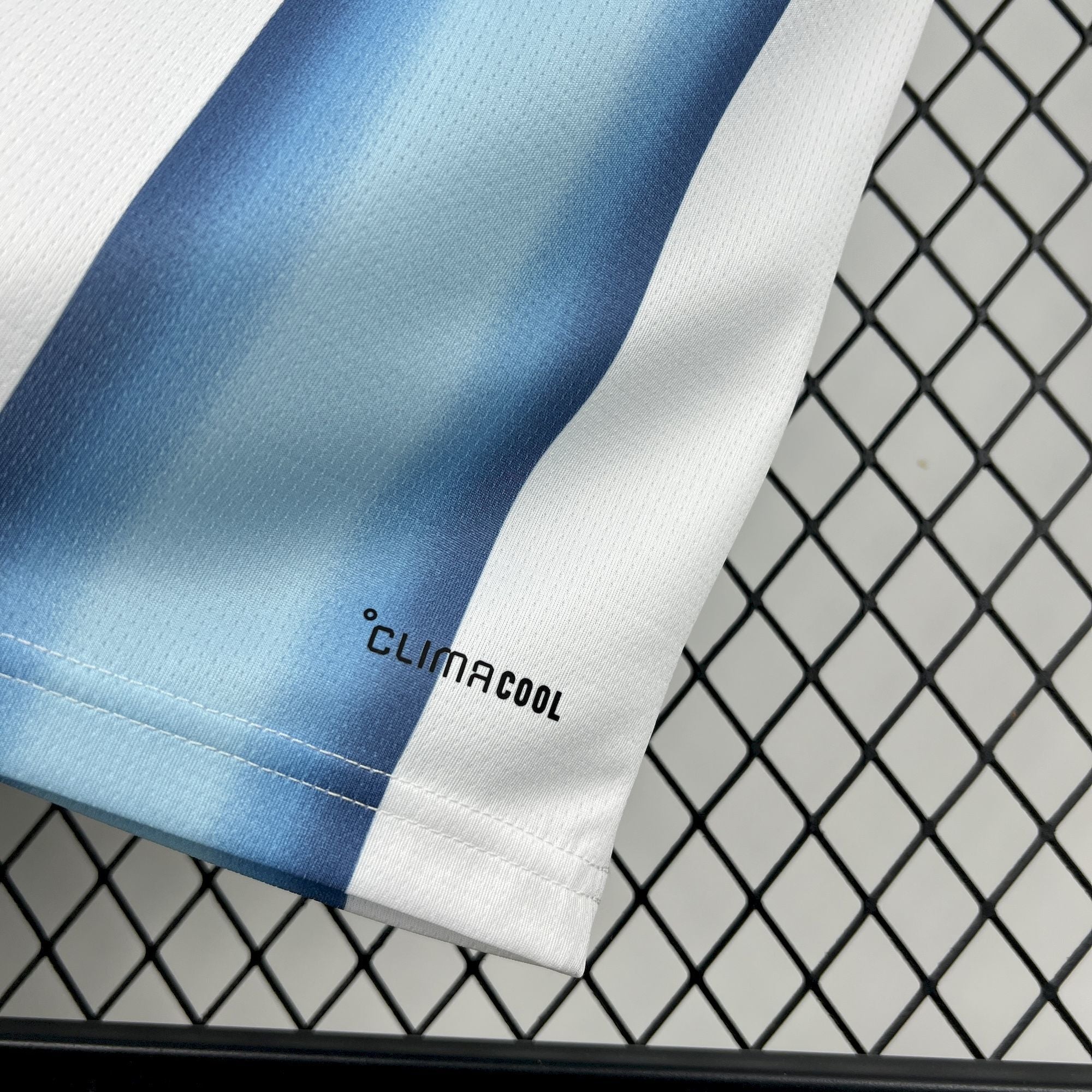 Argentina 2026 Home - Fan Version