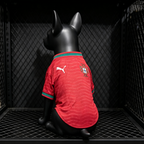 Portugal 2026 Home - Dog Kit