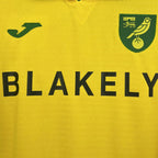 Norwich City 2025/26 Home - Fan Version