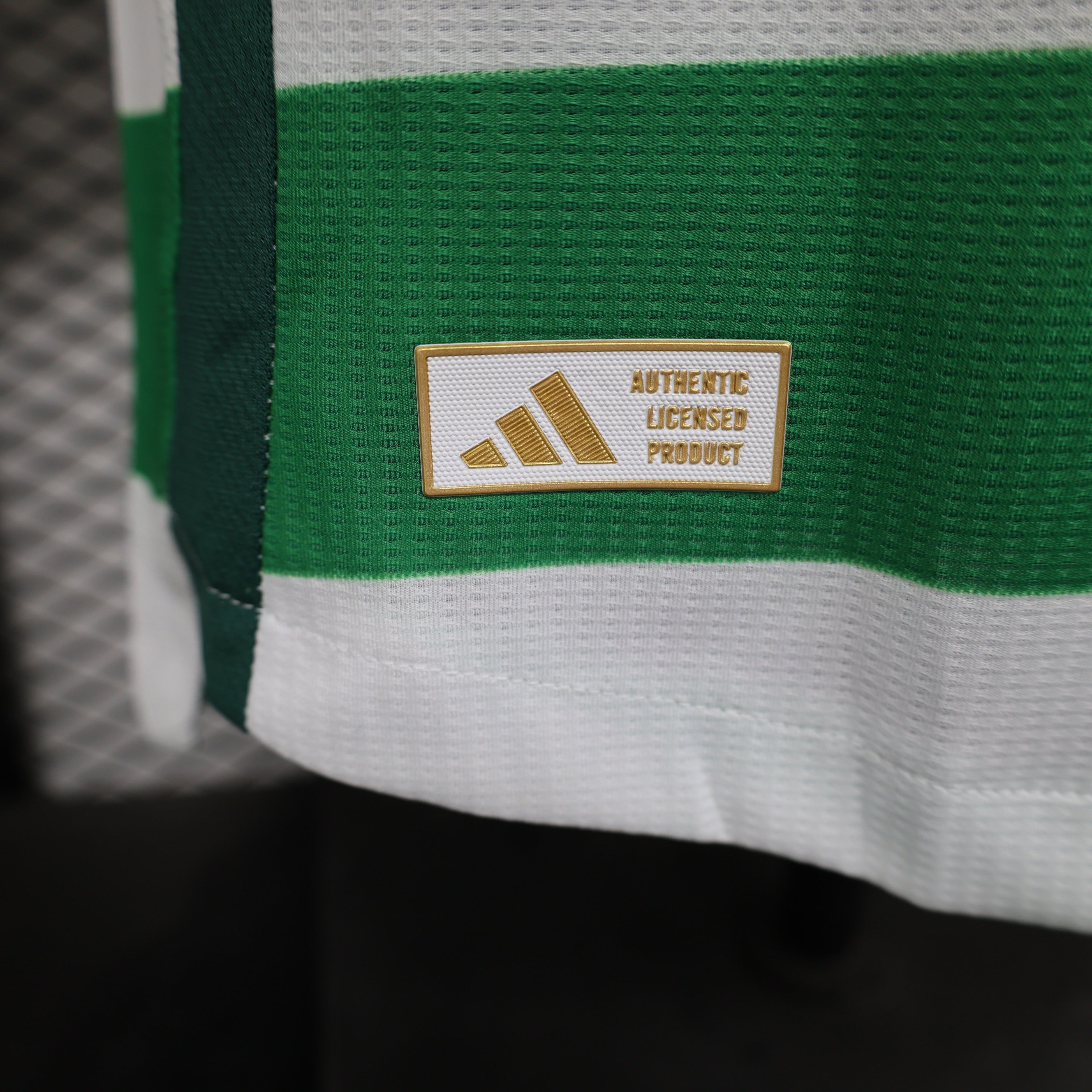 Celtic FC 2024/25 Home - Player Version