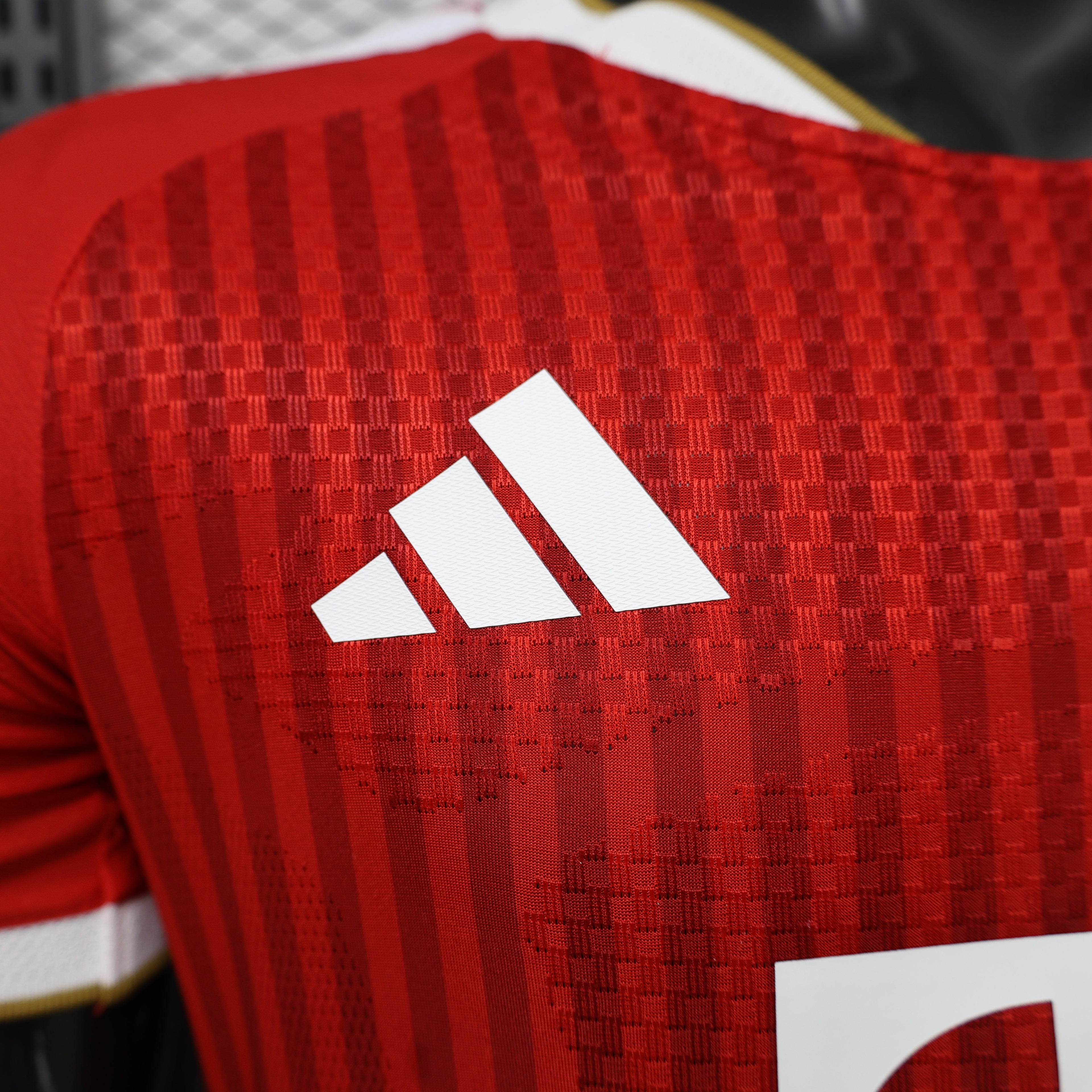 Bayern Munich 2026/27 Home - Player Version