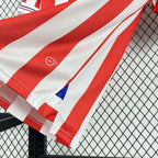 Chivas de Guadalajara 2016/17 110th Anniversary - Retro