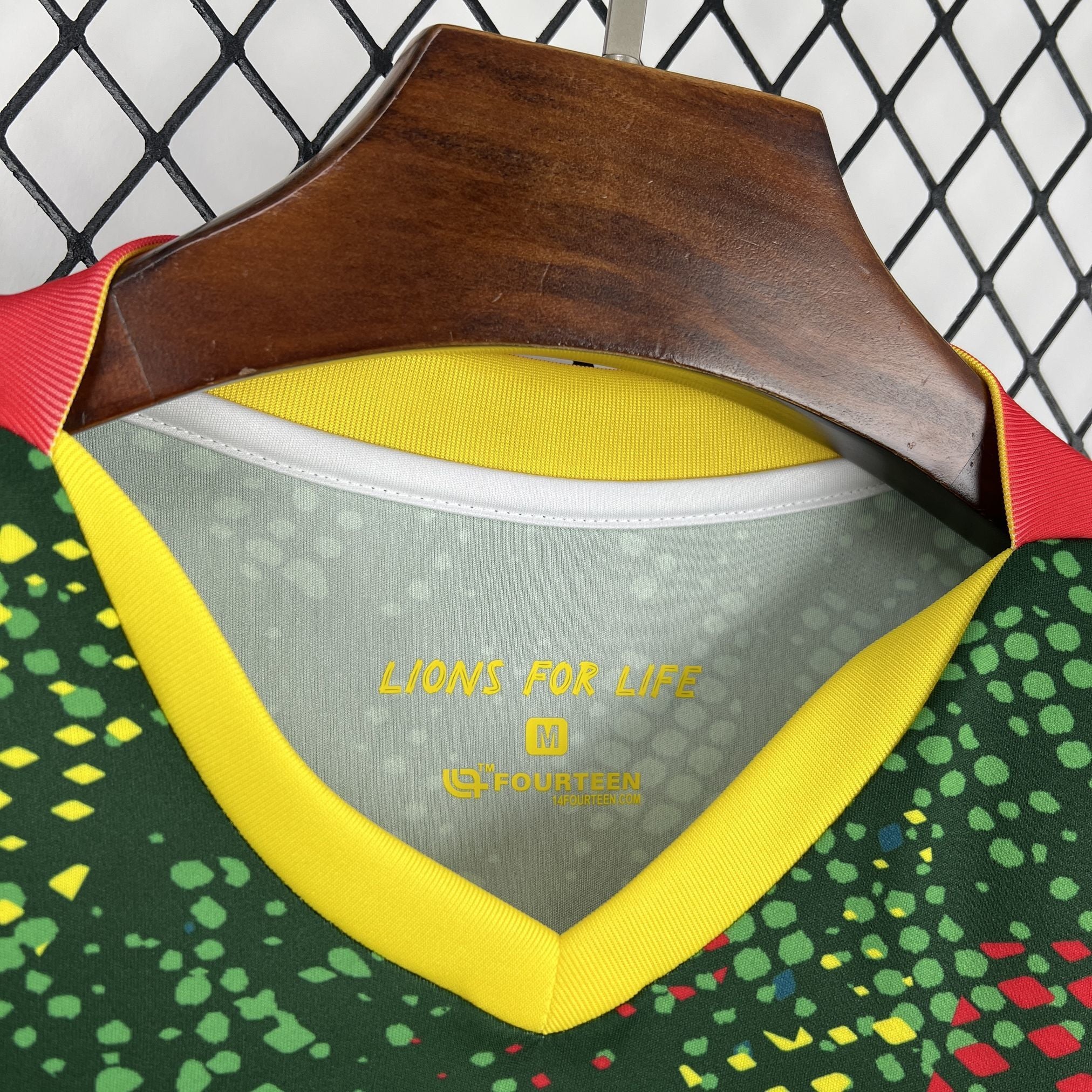 Cameroon 2026 Home - Fan Version