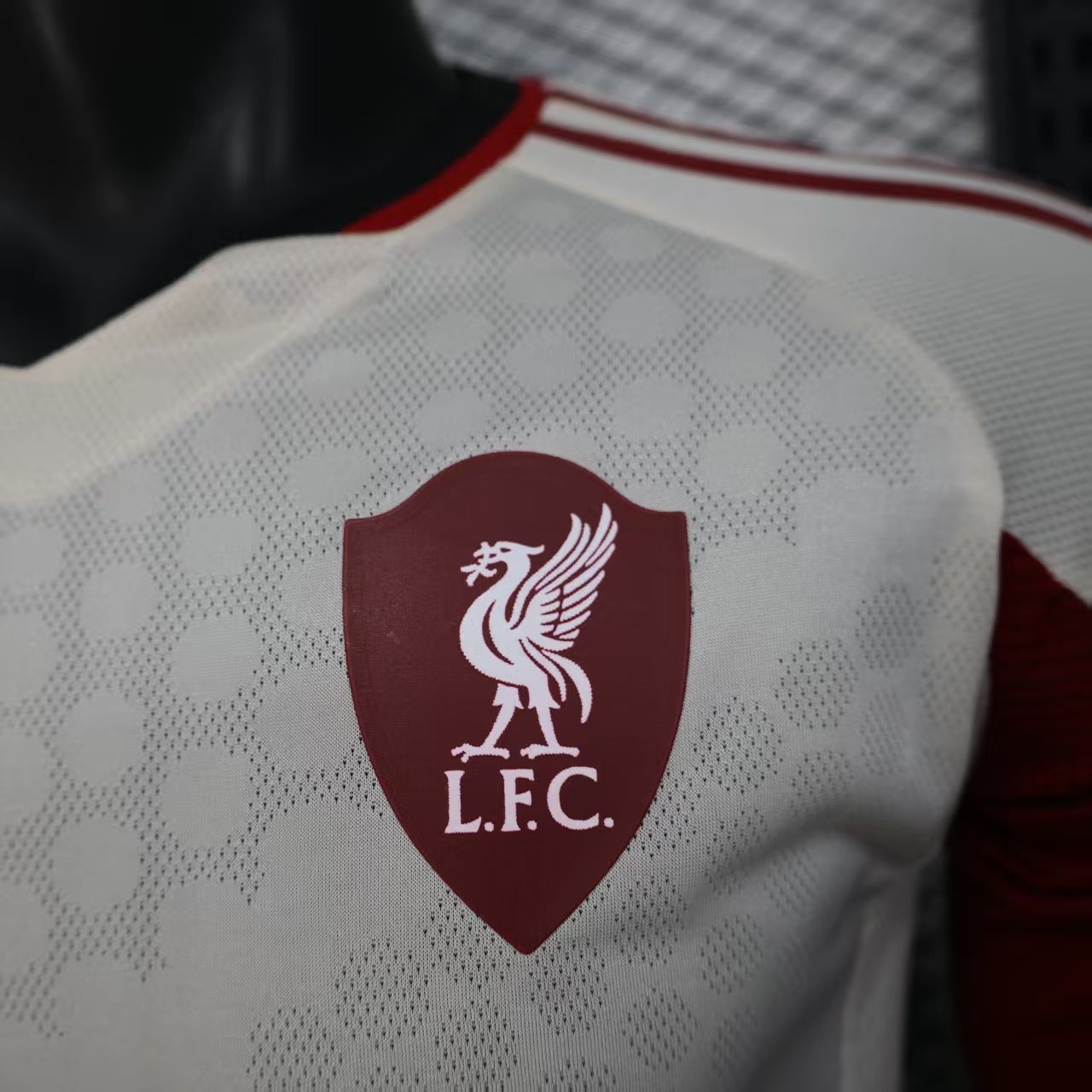 Liverpool FC 2025/26 Away Long Sleeve - Player Version