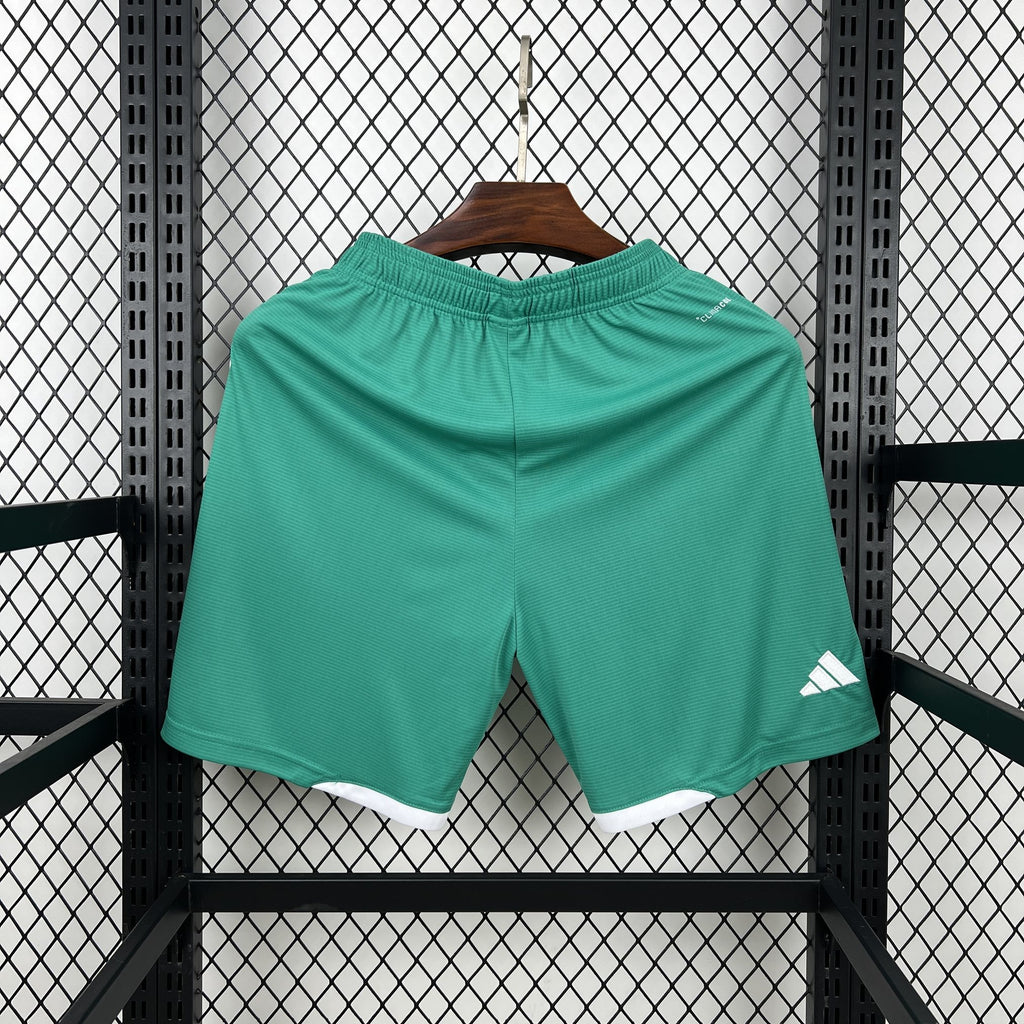 Northern Ireland 2026 Home - Fan Shorts