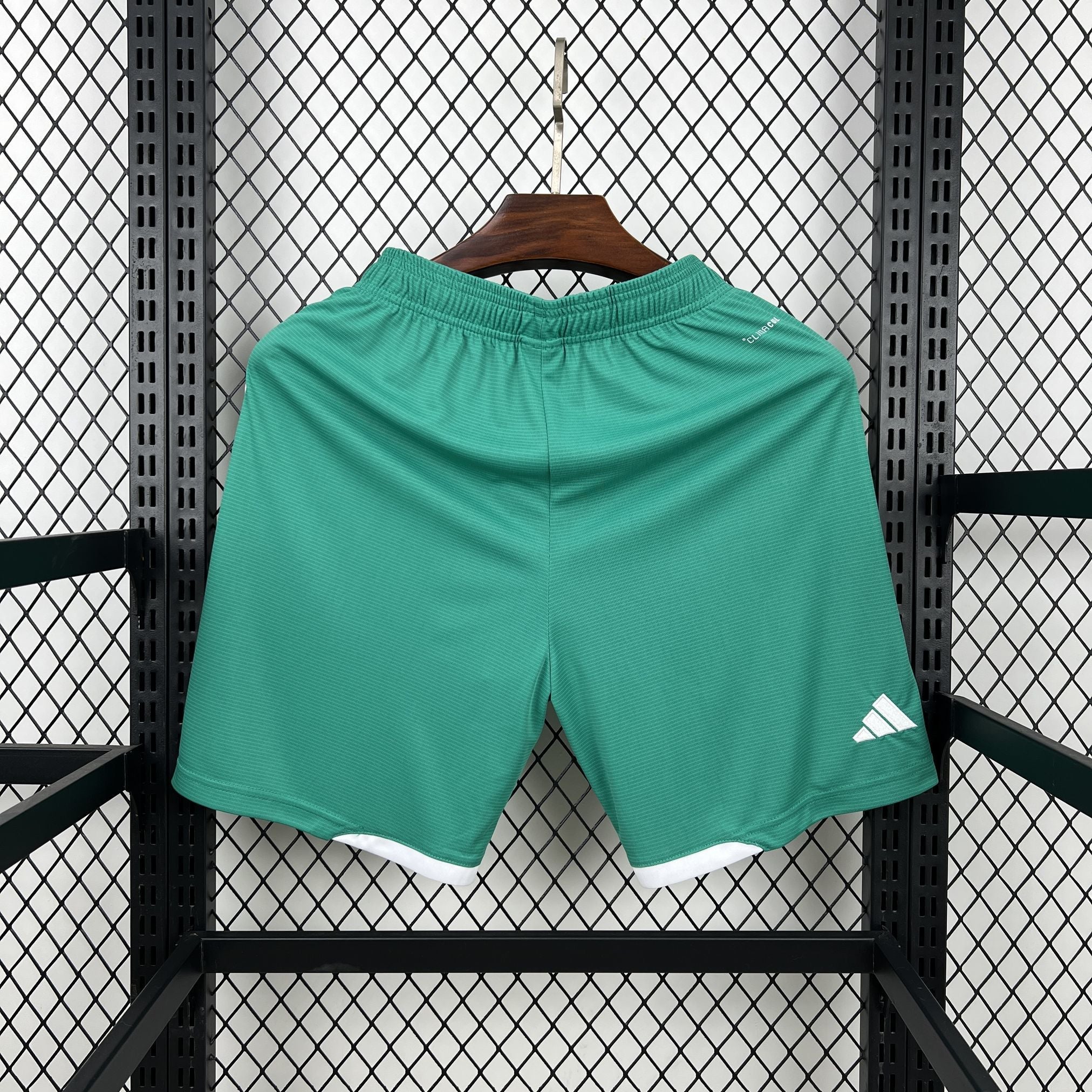 Northern Ireland 2026 Home - Fan Shorts