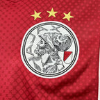 Ajax 2025/26 Home - Fan Version