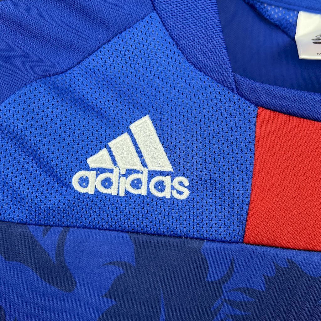 Japan 2010 Home - Retro
