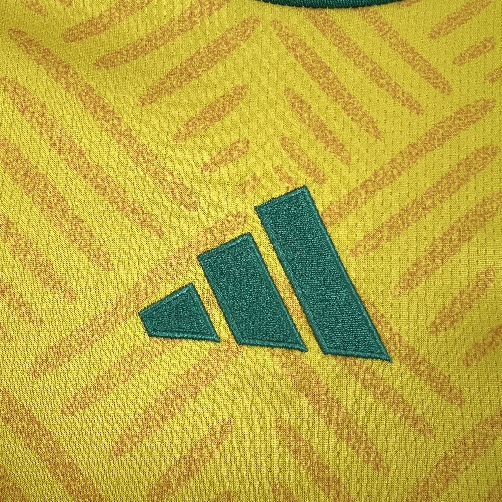 South Africa 2026 Home - Fan Version