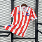 Chivas de Guadalajara 2016/17 110th Anniversary - Retro
