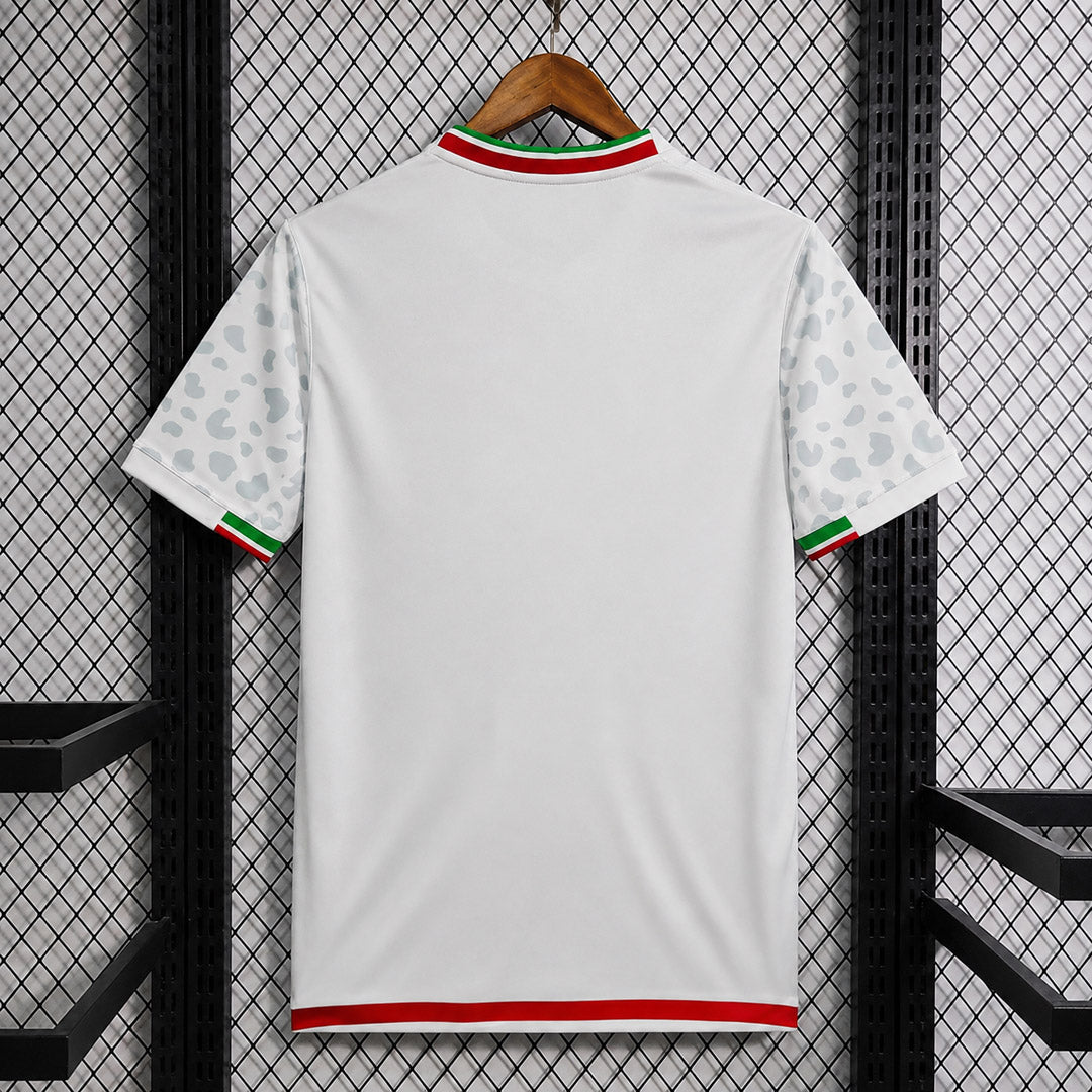 Iran 2026 Home - Fan Version