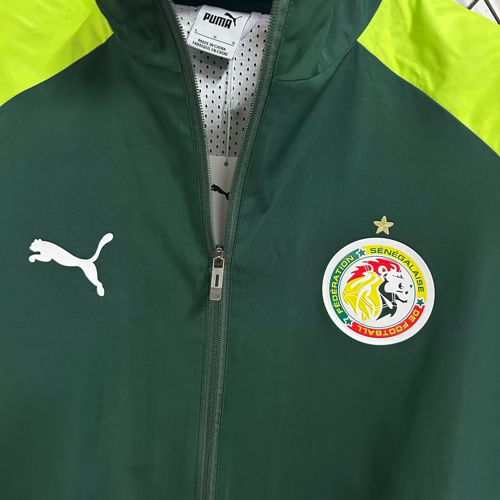 Senegal 2026 Green Windbreaker