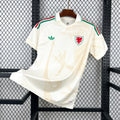 Wales 2026 Away - Fan Version