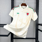 Wales 2026 Away - Fan Version