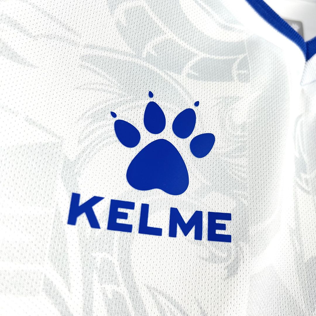 Bosnia and Herzegovina 2026 Away - Fan Version