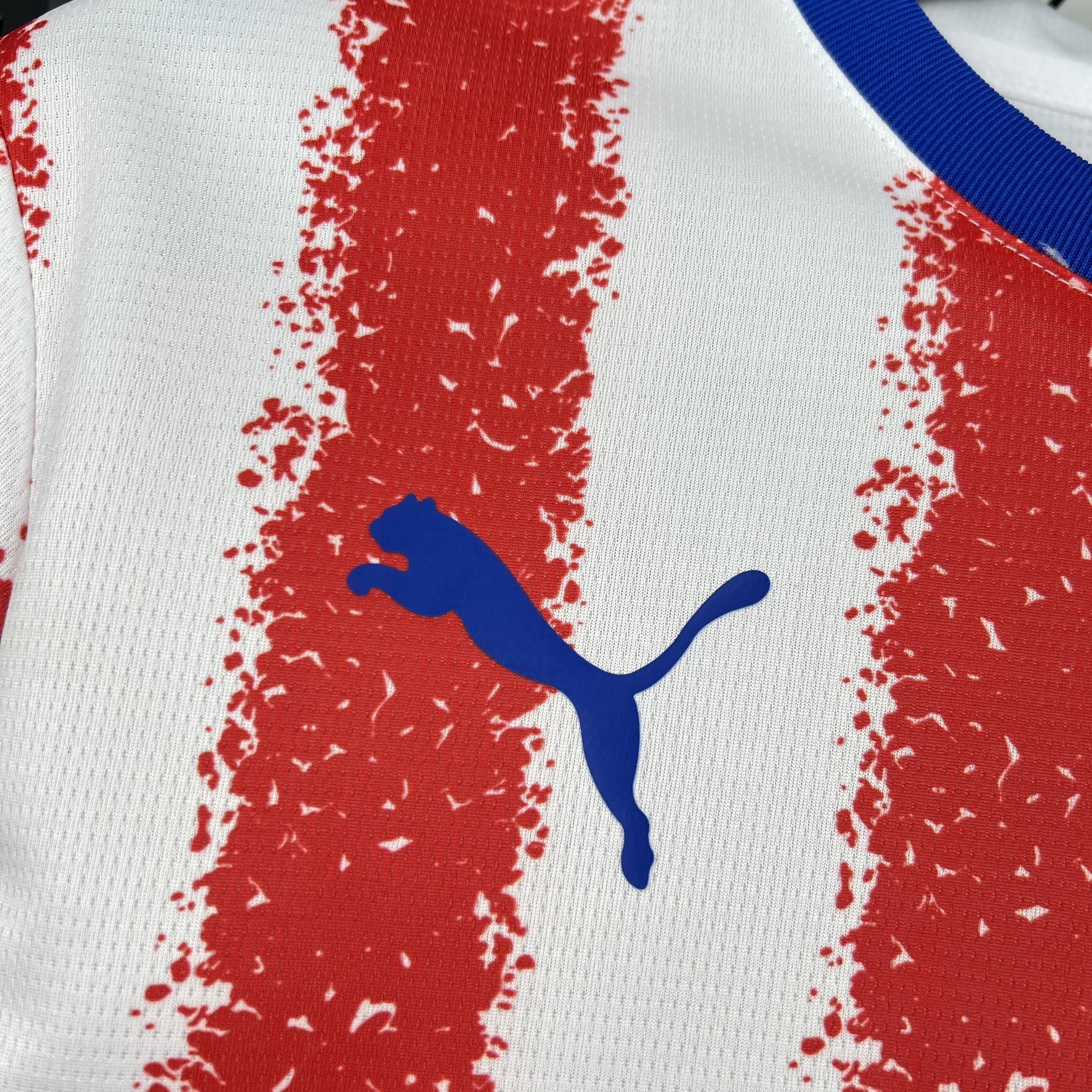 Paraguay 2026 Home - Fan Version