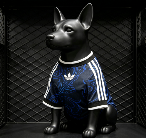 Argentina 2026 Away - Dog Kit