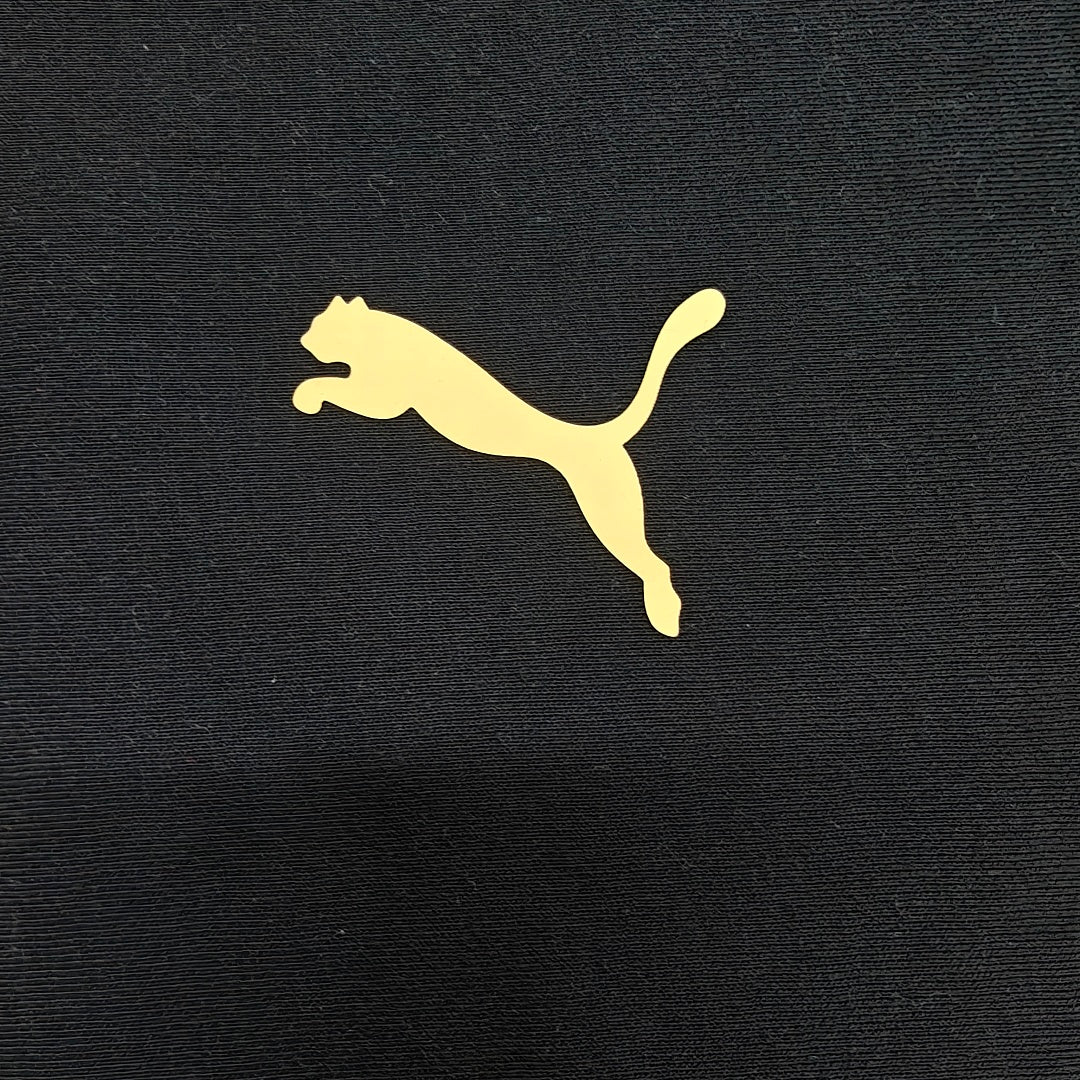 Manchester City 2026 Hoodie (Gold Badge)