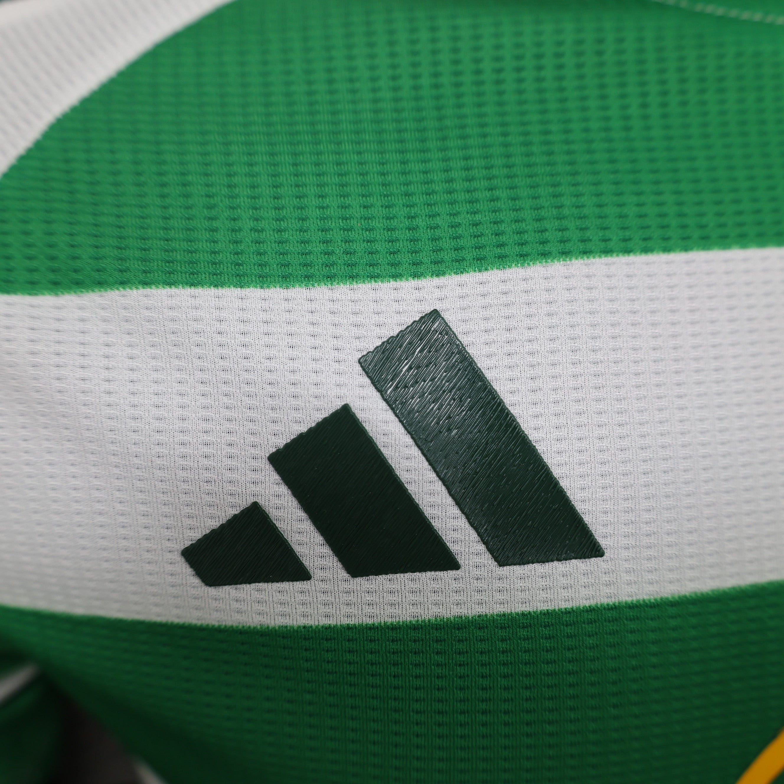 Celtic FC 2024/25 Home - Player Version