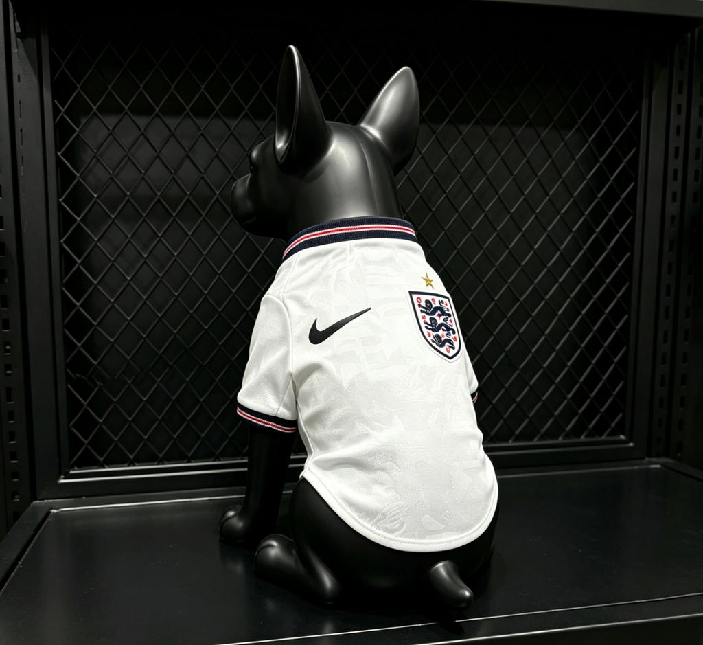 England 2026 Home - Dog Kit