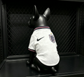 England 2026 Home - Dog Kit