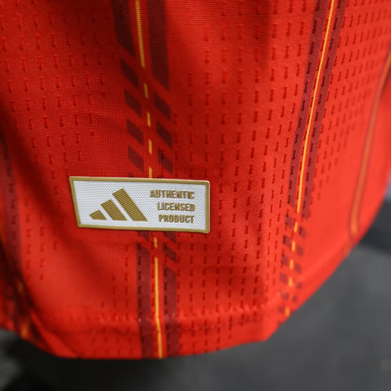 Spain 2026 Home - Player Version