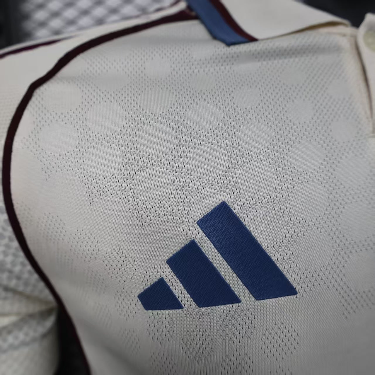 Ajax 2024/25 Third - Player Version