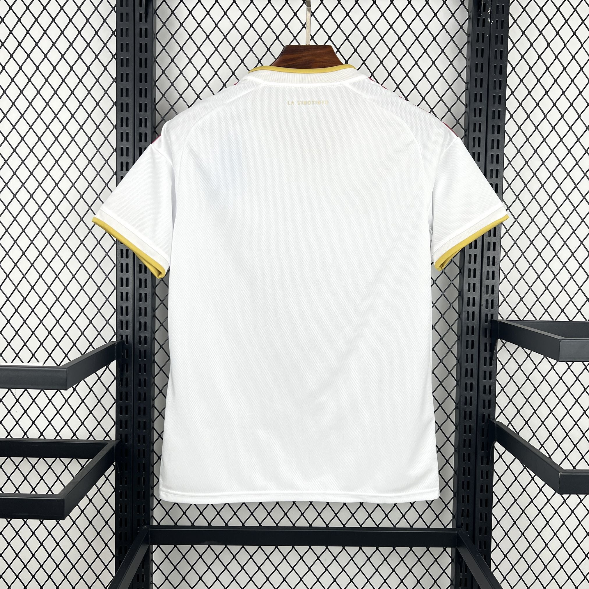 Venezuela 2026 Away - Fan Version