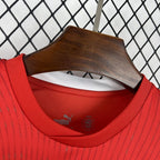Switzerland 2026 Home - Fan Version