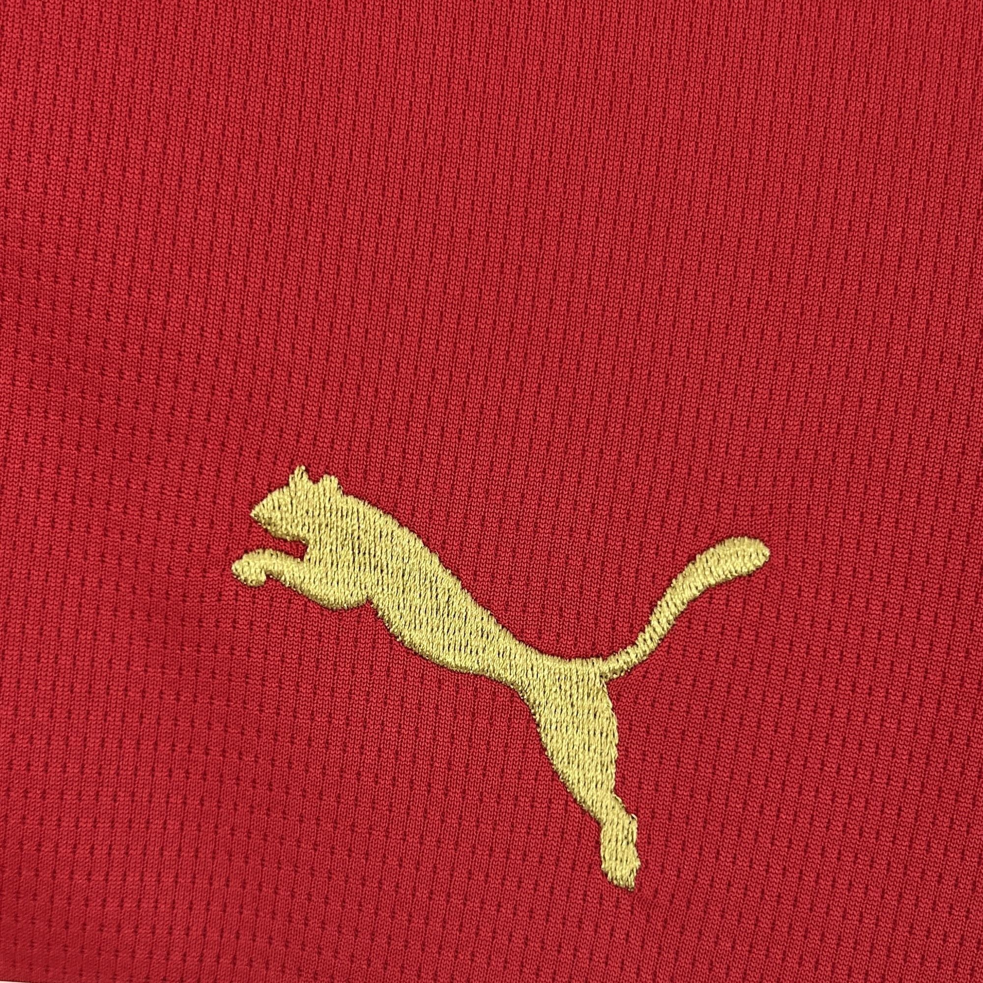 Morocco 2026 Home - Fan Version