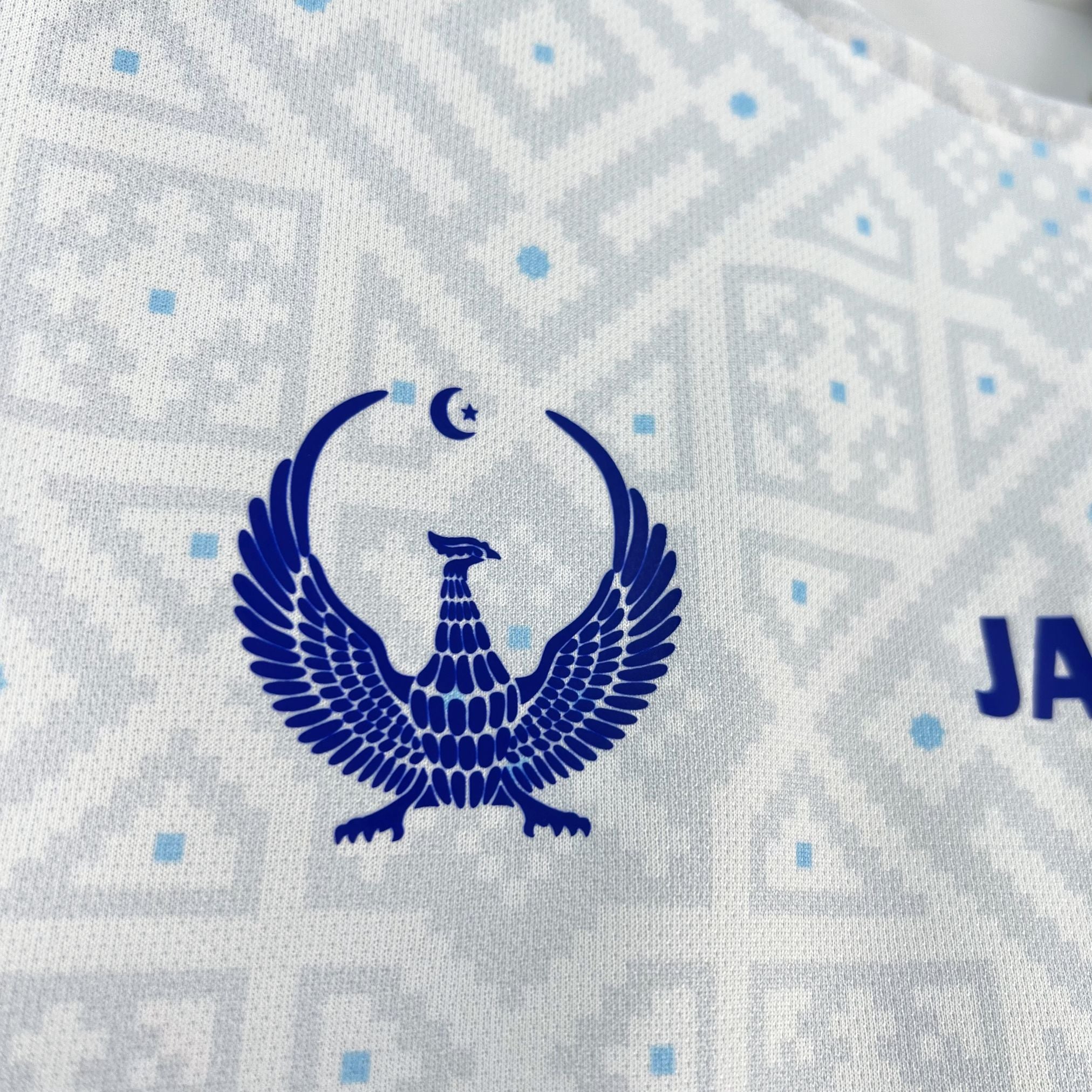 Uzbekistan 2026 Away - Fan Version