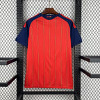 Spain 2026 Home - Fan Version