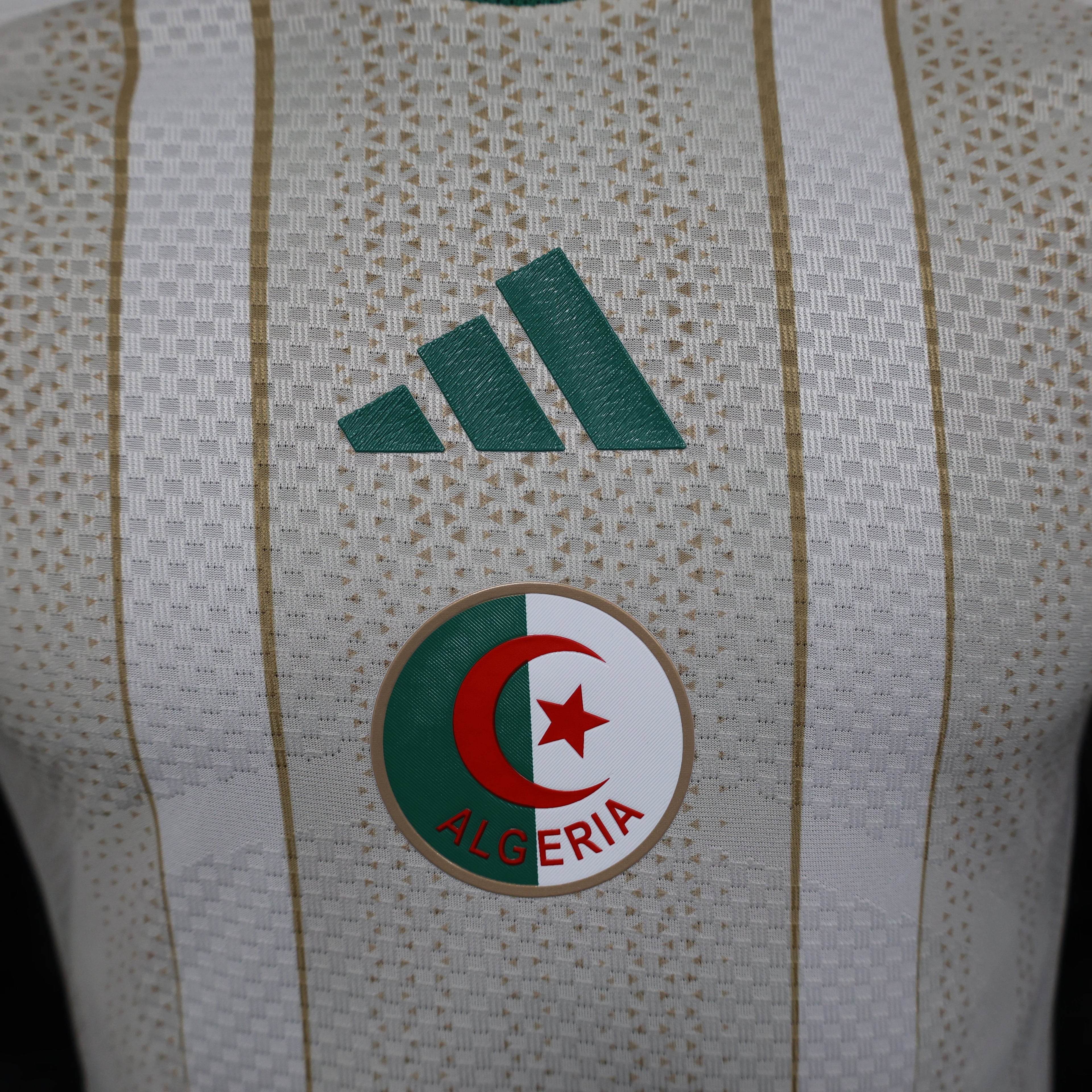 Algeria 2026 Home - Player Version