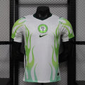 Nigeria 2026 Away - Player Version