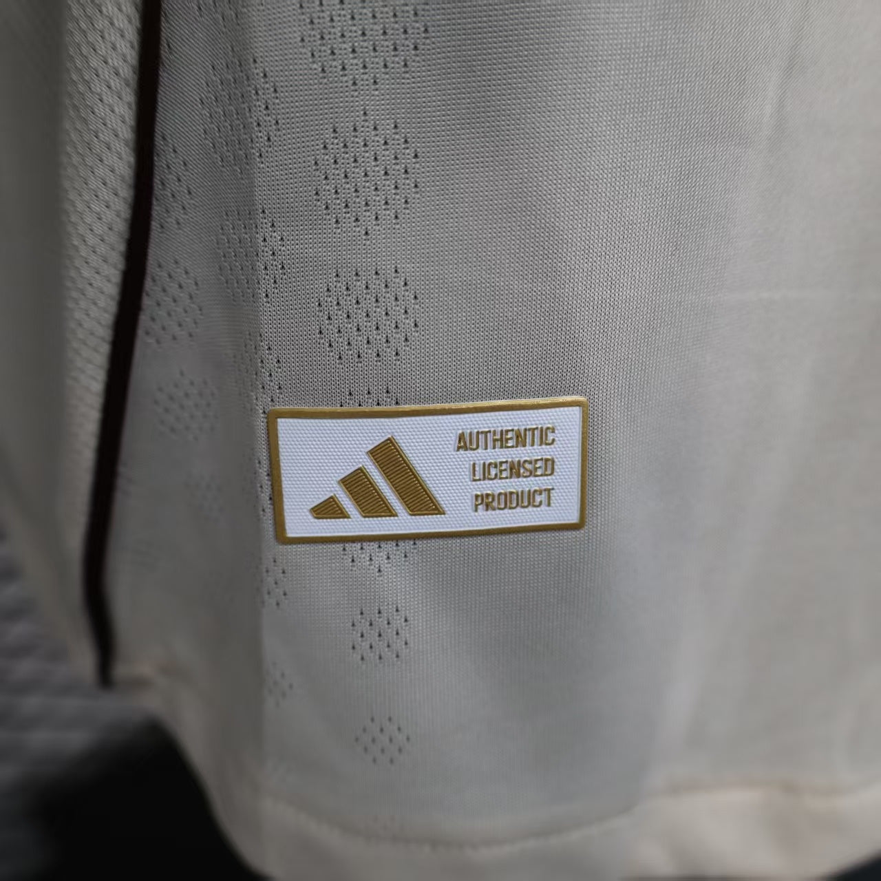 Ajax 2024/25 Third - Player Version