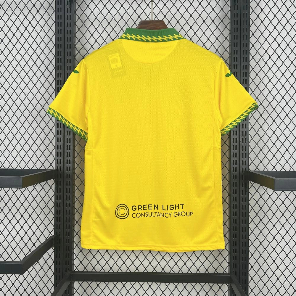 Norwich City 2025/26 Home - Fan Version