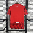 Lille 2025/26 Home - Fan Version