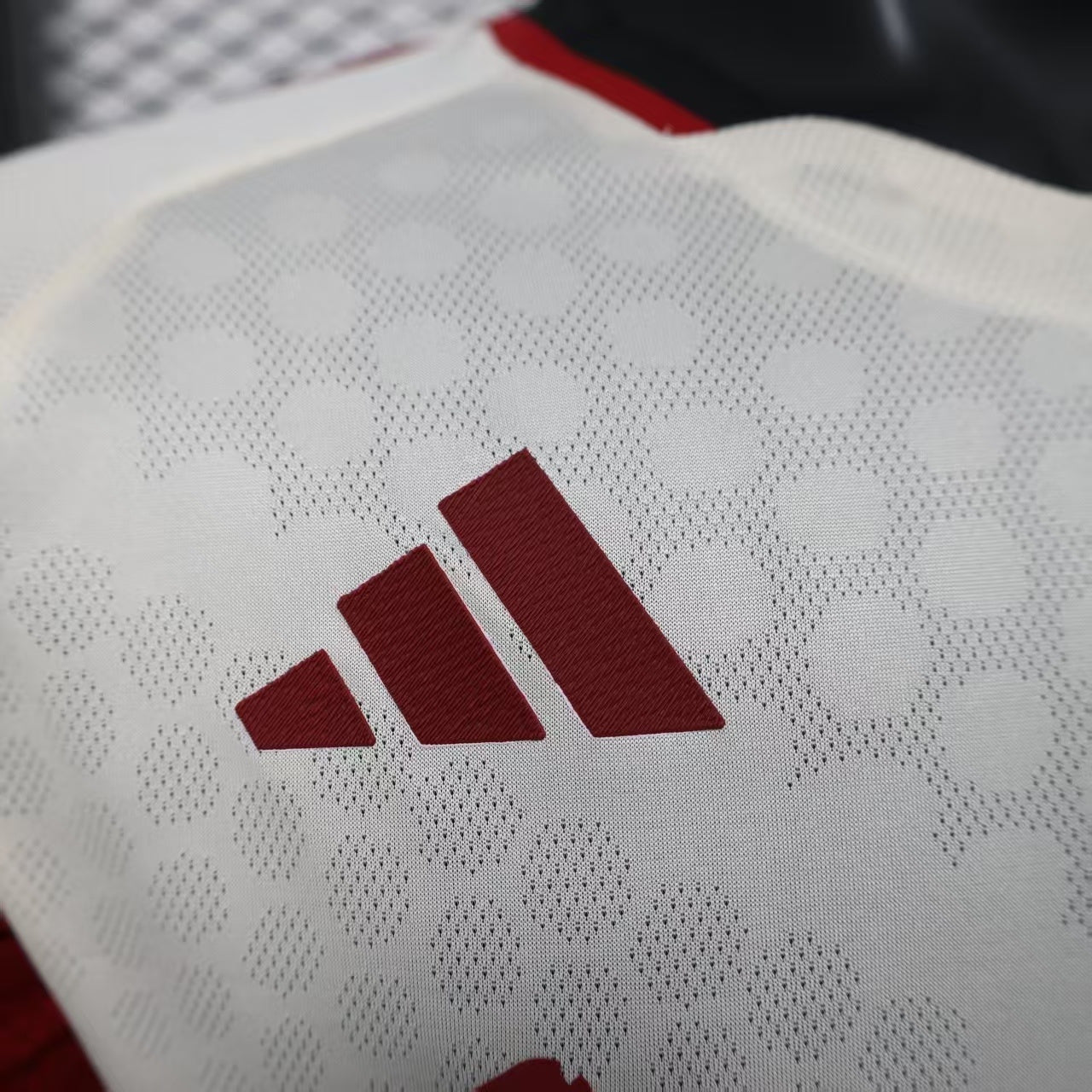 Liverpool FC 2025/26 Away Long Sleeve - Player Version