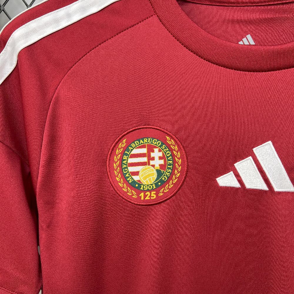 Hungary 2026 Home - Fan Version