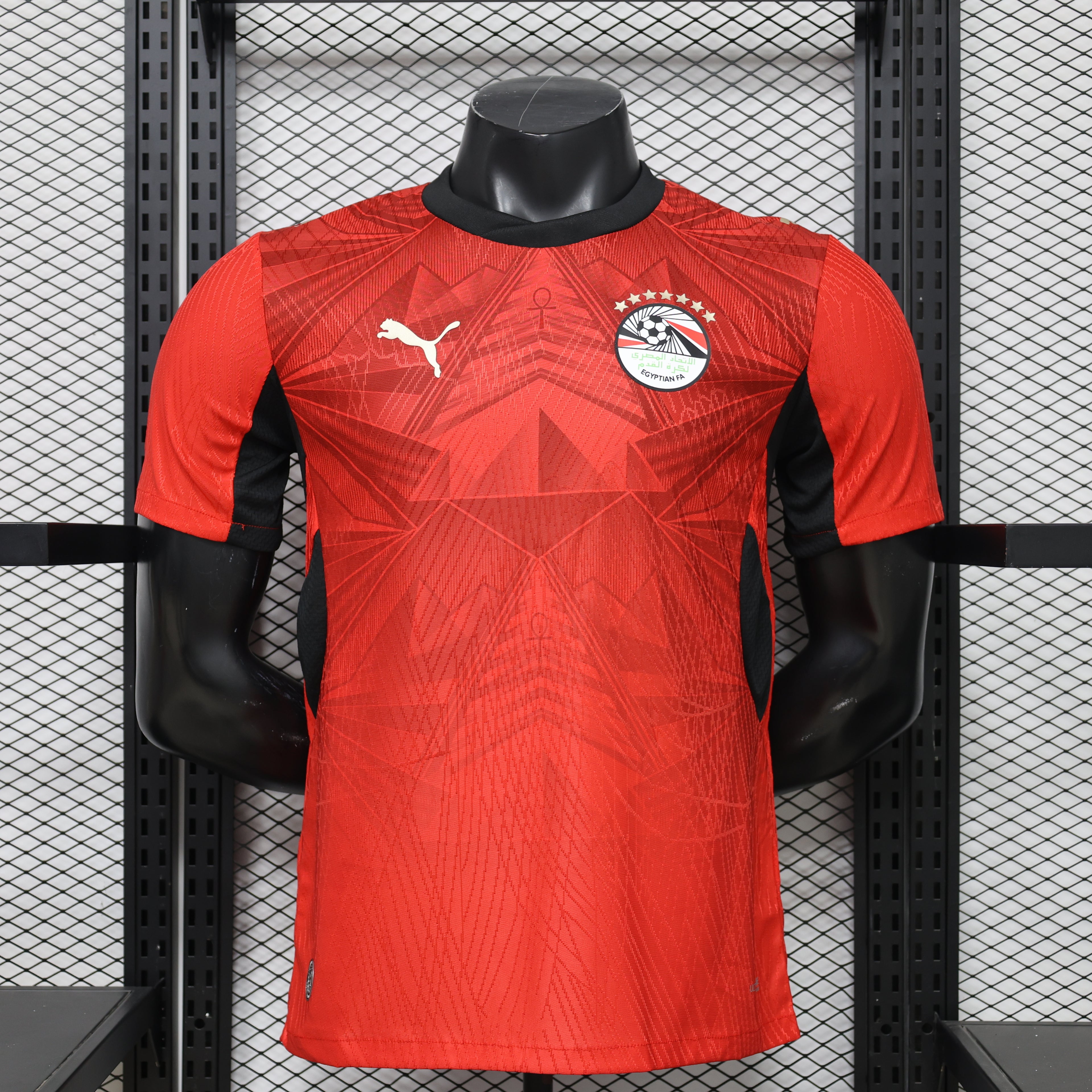 Egypt 2026 Home - Player Version