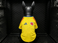 Colombia 2026 Home - Dog Kit