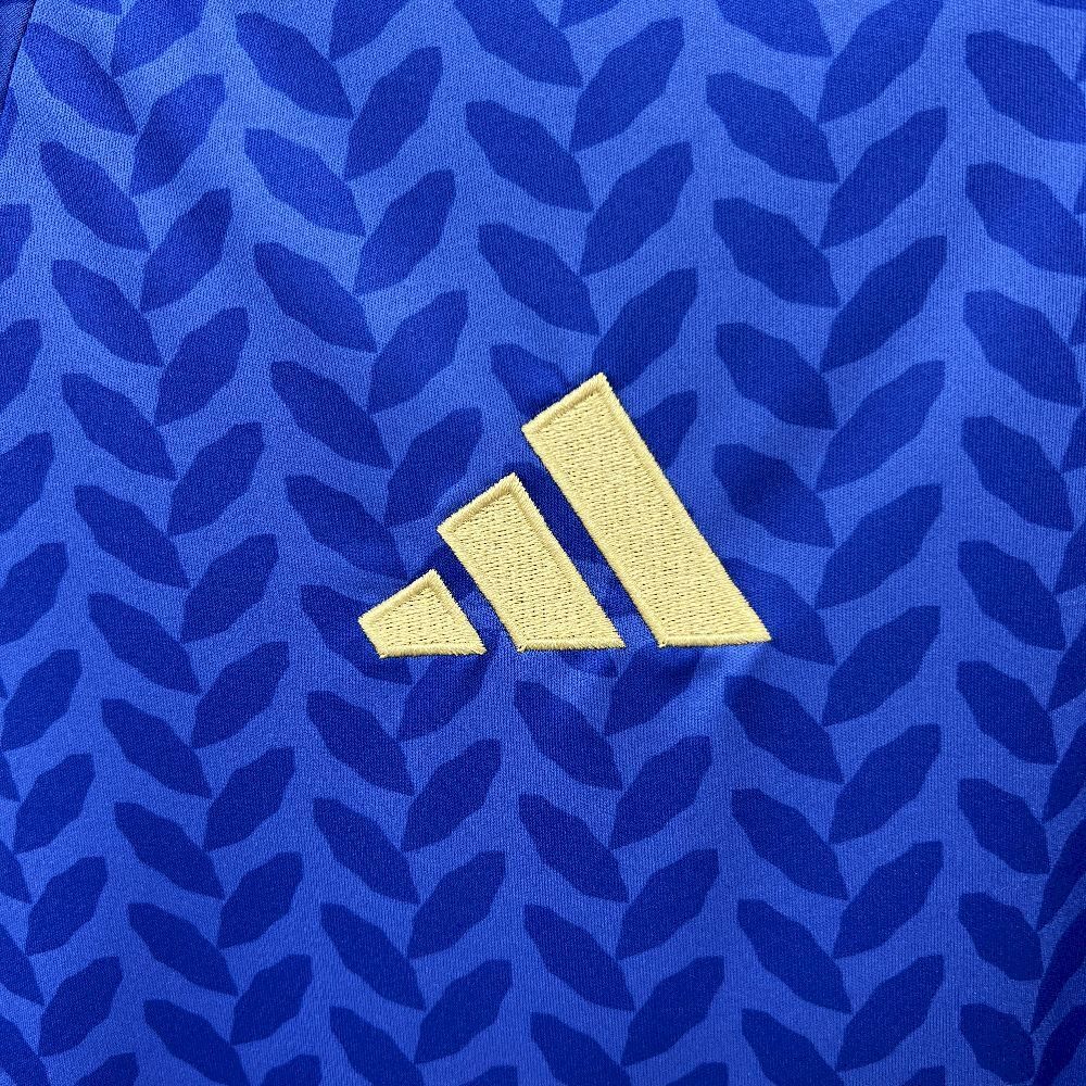 Italy 2026 Home  - Fan Version
