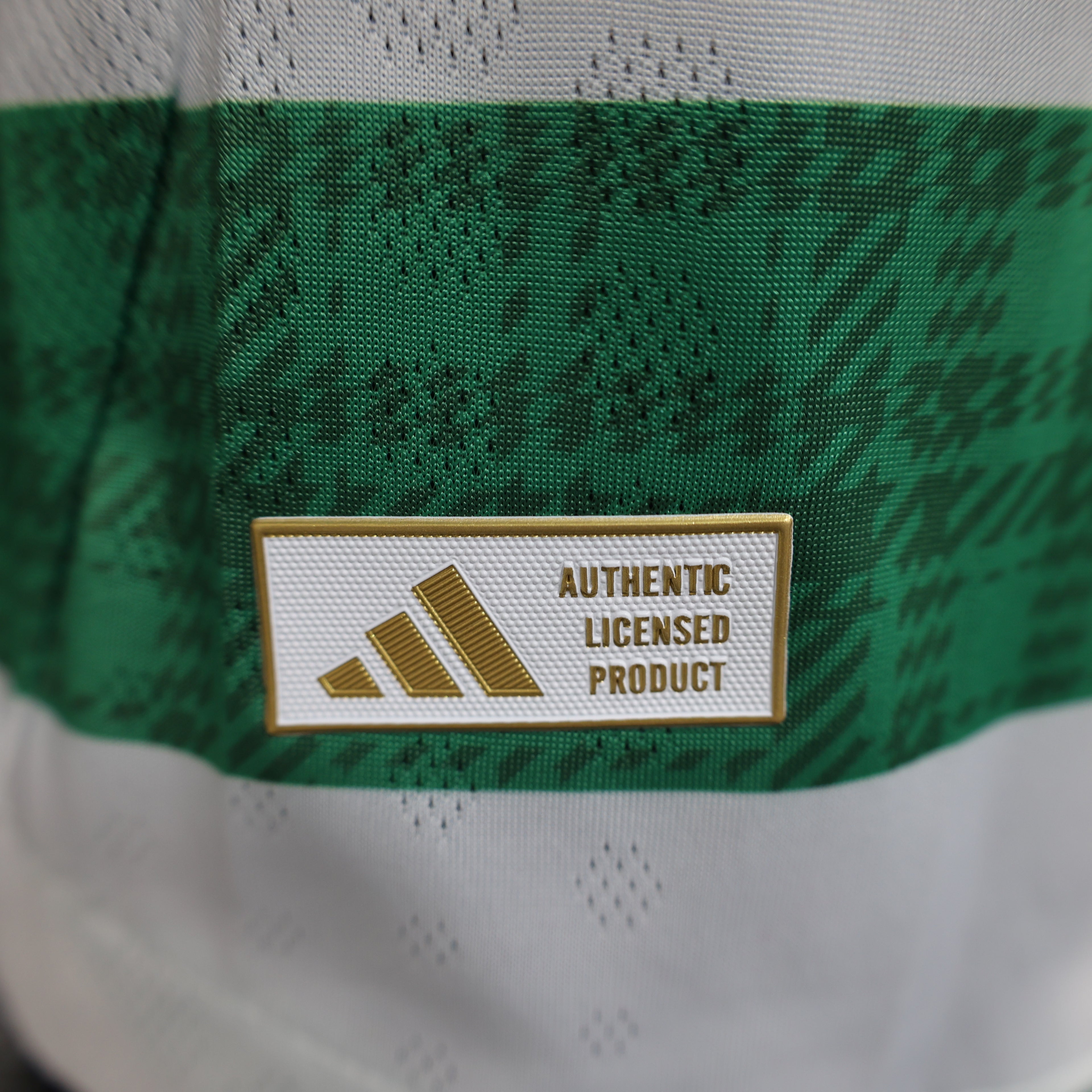 Celtic FC 2025/26 Home - Player Version