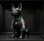 Mexico 2026 Away - Dog Kit