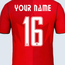 Customize Kit Form